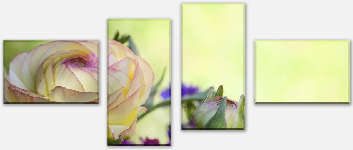 Leinwandbild Mehrteiler Ranunkel M0492 Leinwandbild Mehrteiler Ranunkel M0492