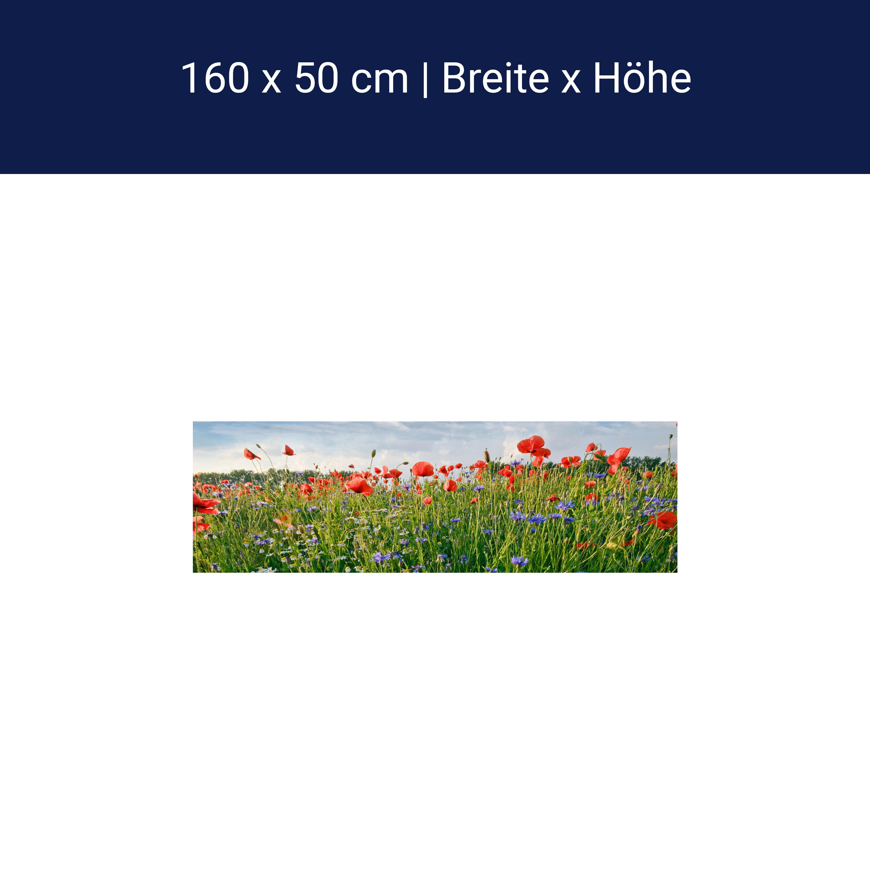 Küchenrückwand Blumenwiese M0493 Küchenrückwand Blumenwiese M0493