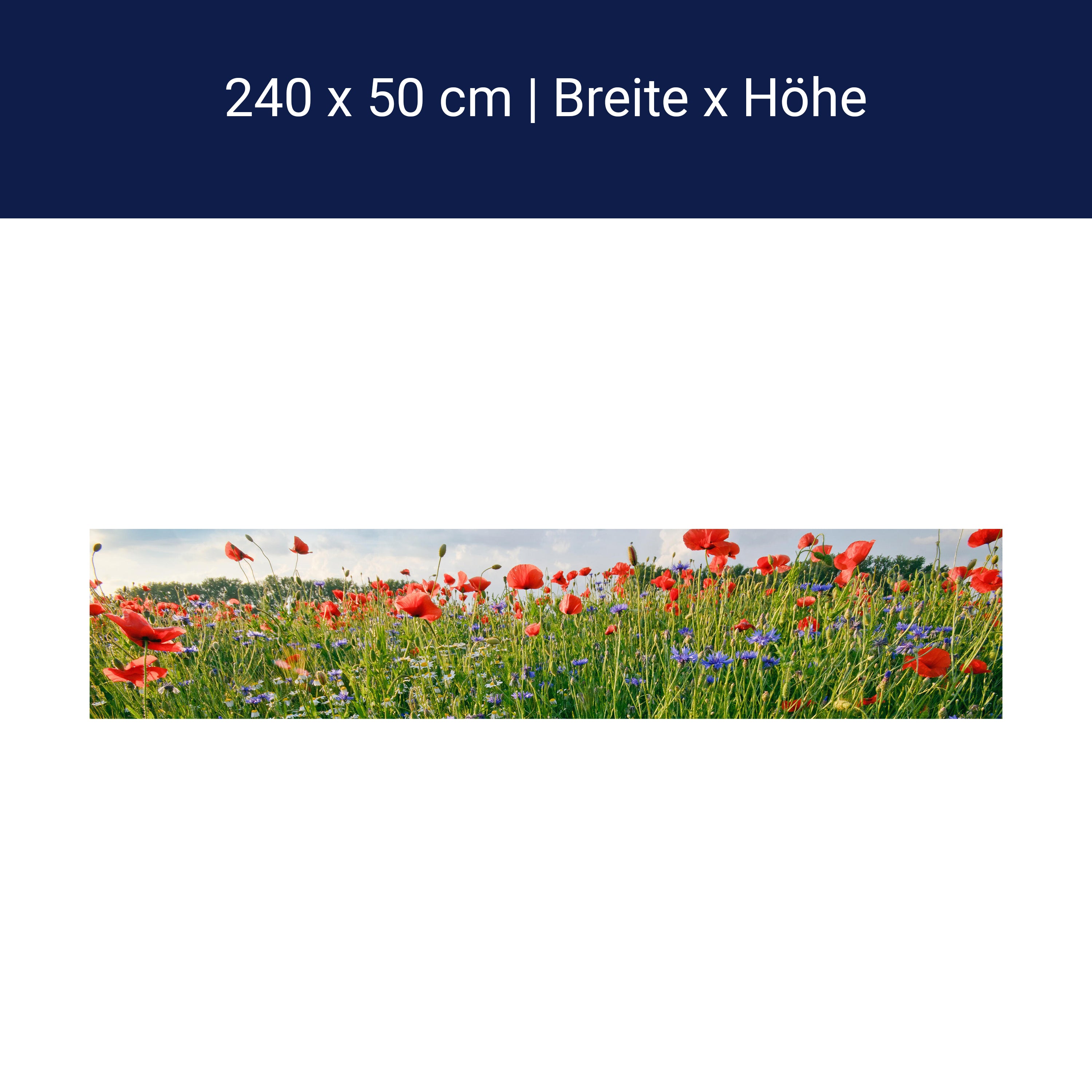 Küchenrückwand Blumenwiese M0493 Küchenrückwand Blumenwiese M0493