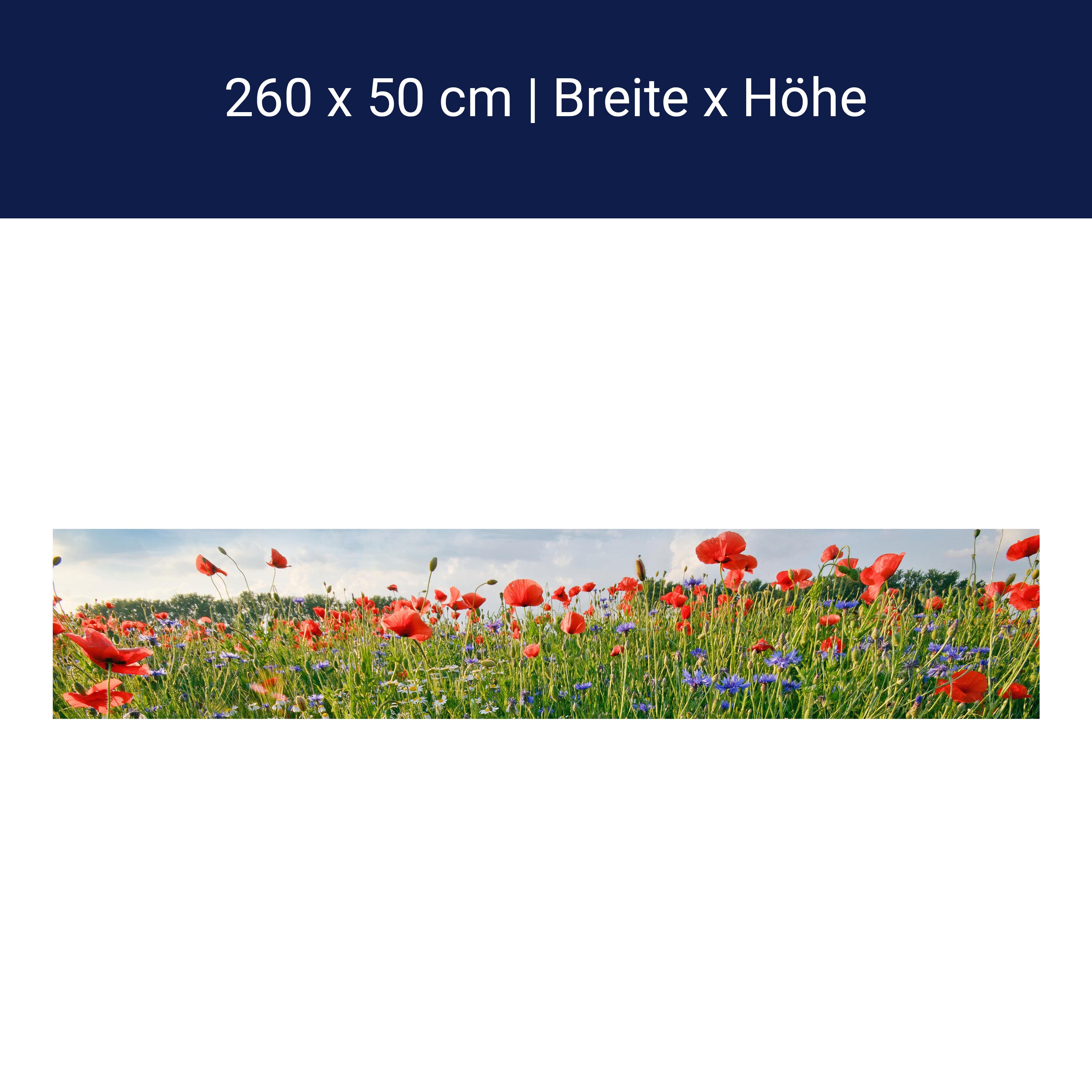Küchenrückwand Blumenwiese M0493 Küchenrückwand Blumenwiese M0493