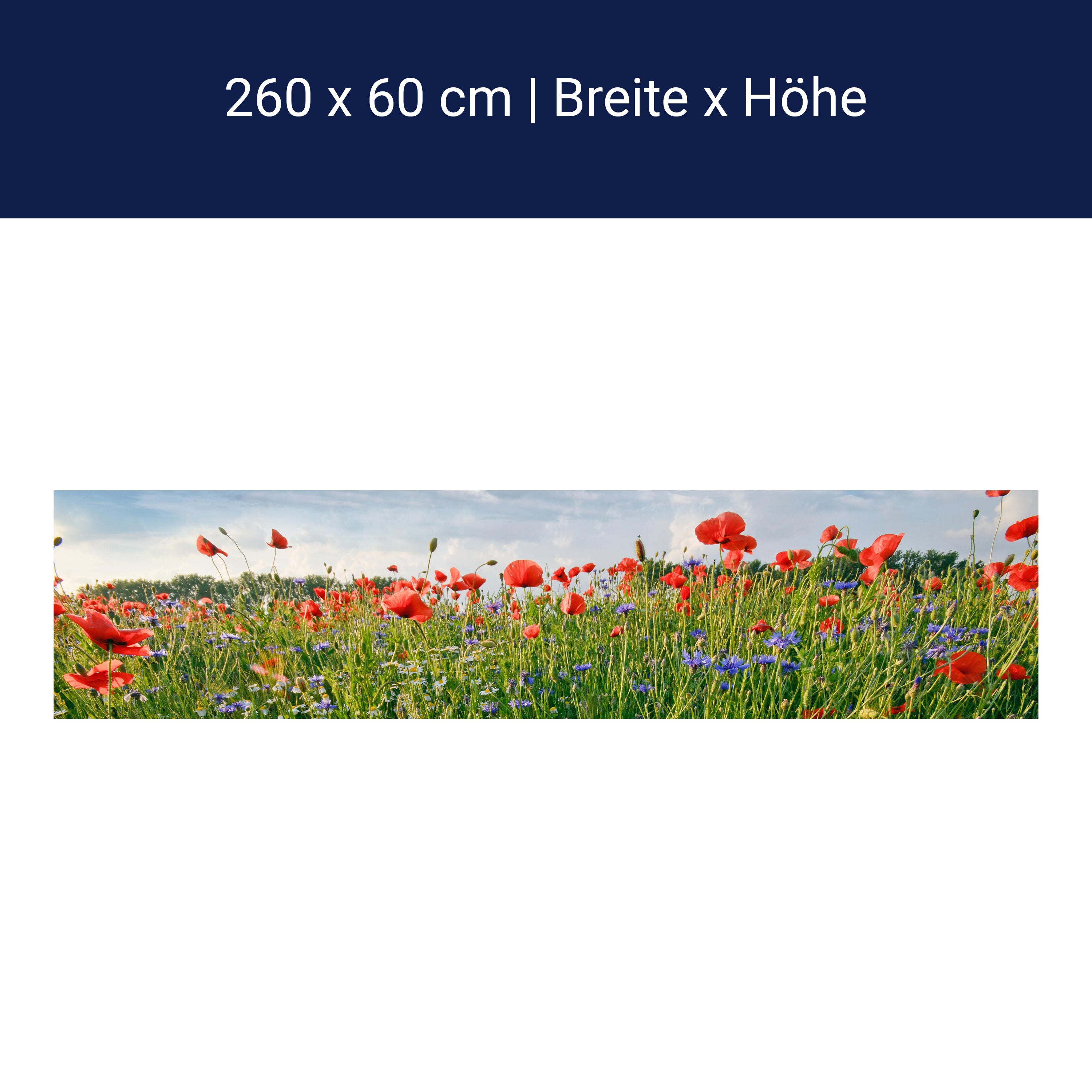 Küchenrückwand Blumenwiese M0493 Küchenrückwand Blumenwiese M0493