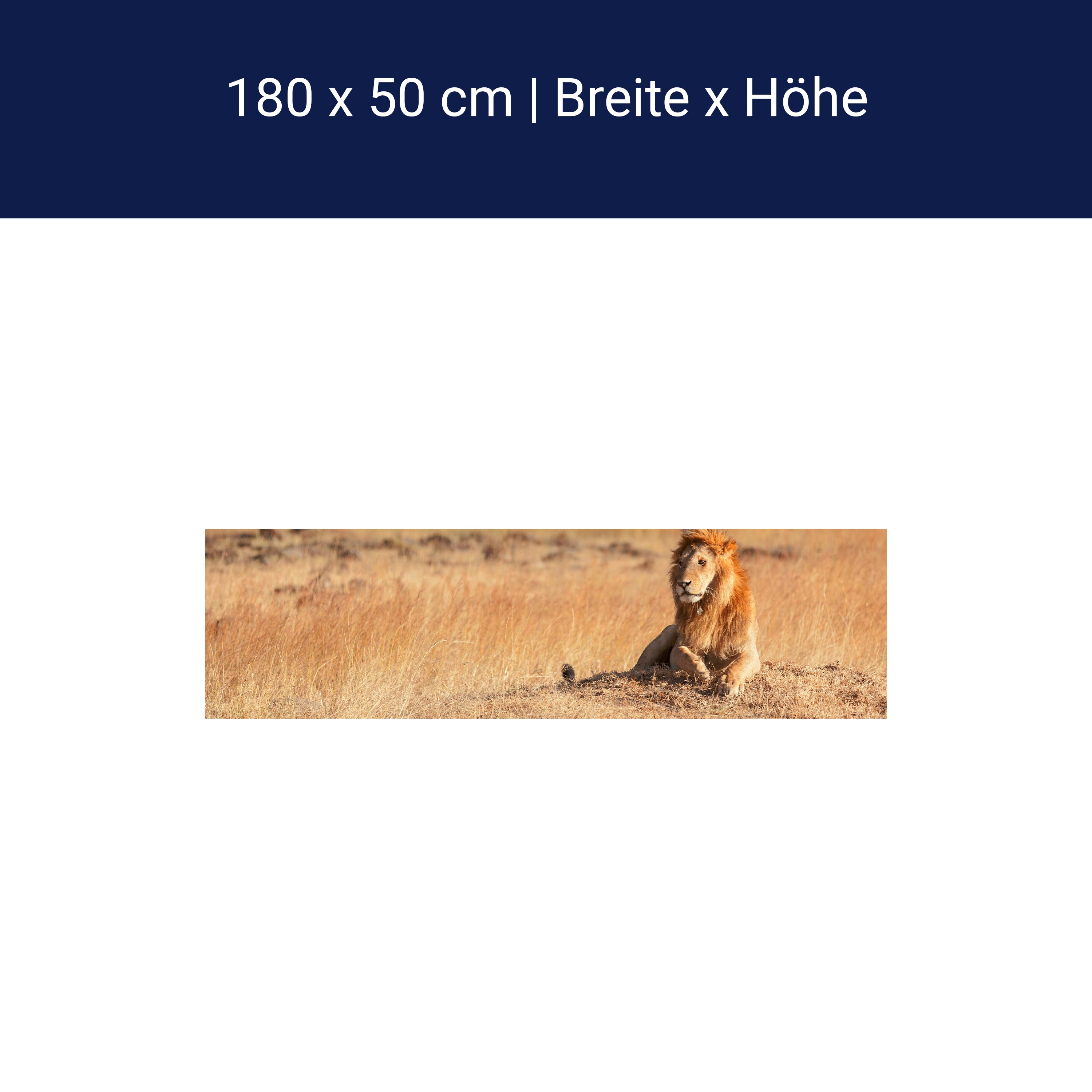 Küchenrückwand König der Savanne M0515 Küchenrückwand König der Savanne M0515