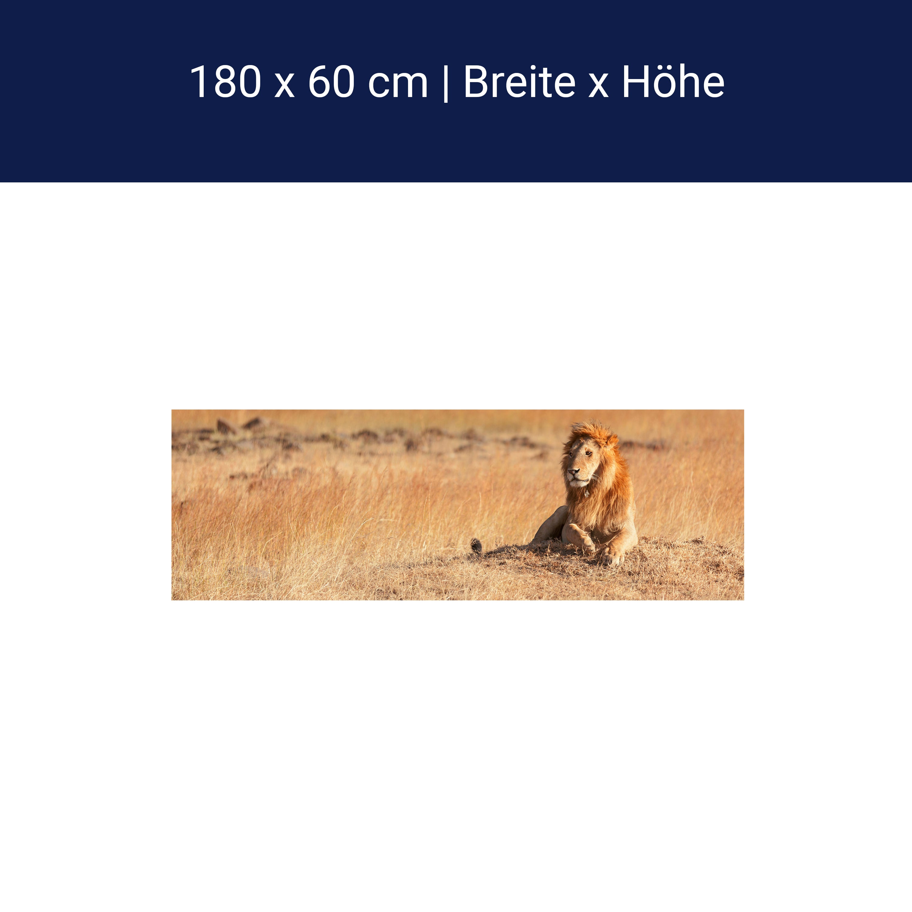 Küchenrückwand König der Savanne M0515 Küchenrückwand König der Savanne M0515