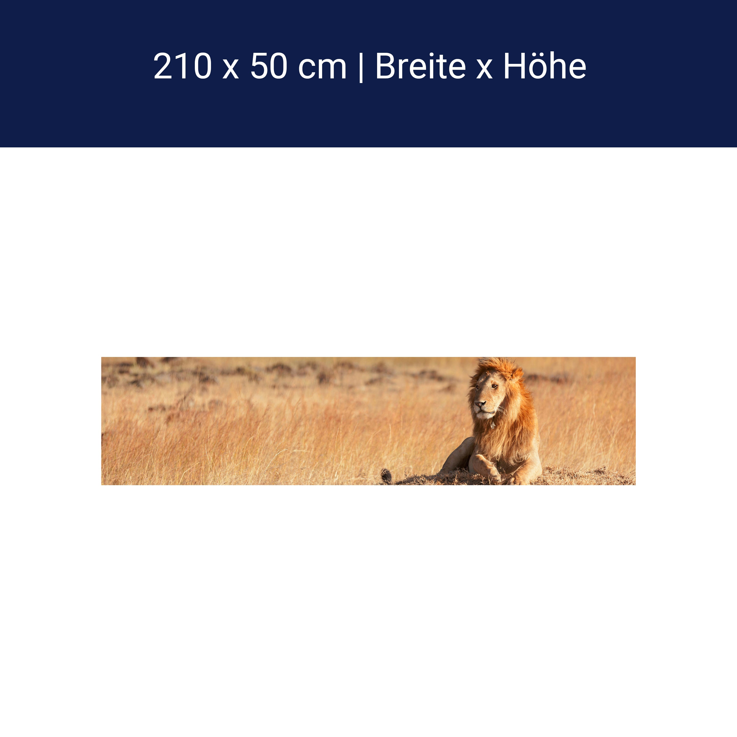 Küchenrückwand König der Savanne M0515 Küchenrückwand König der Savanne M0515