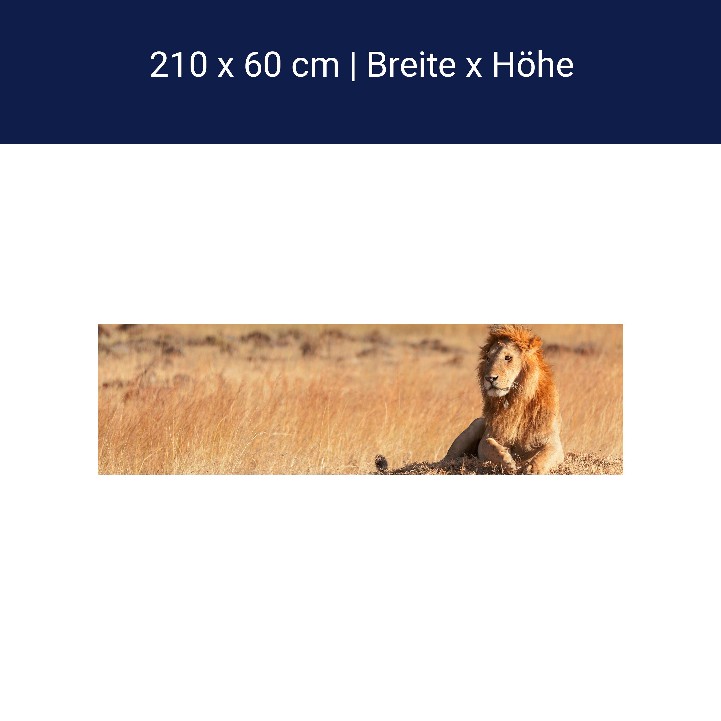 Küchenrückwand König der Savanne M0515 Küchenrückwand König der Savanne M0515