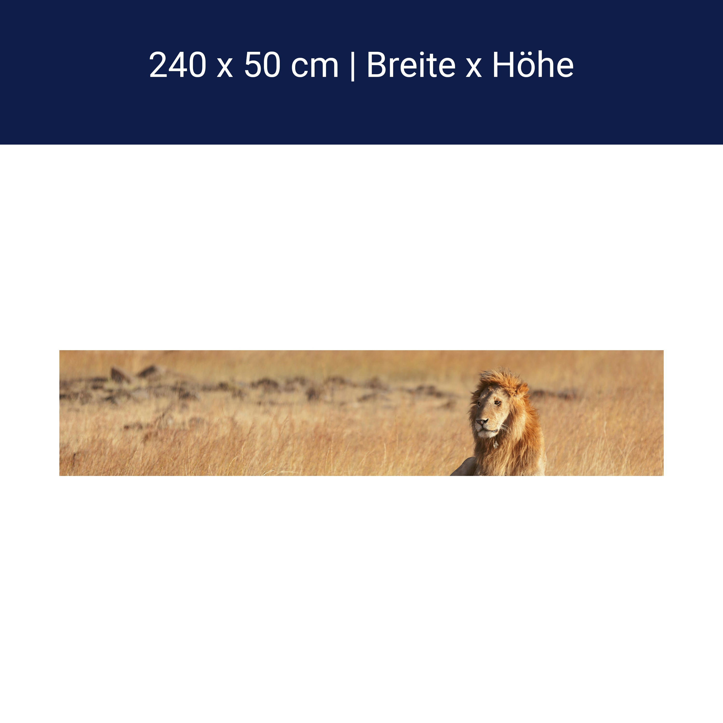 Küchenrückwand König der Savanne M0515 Küchenrückwand König der Savanne M0515