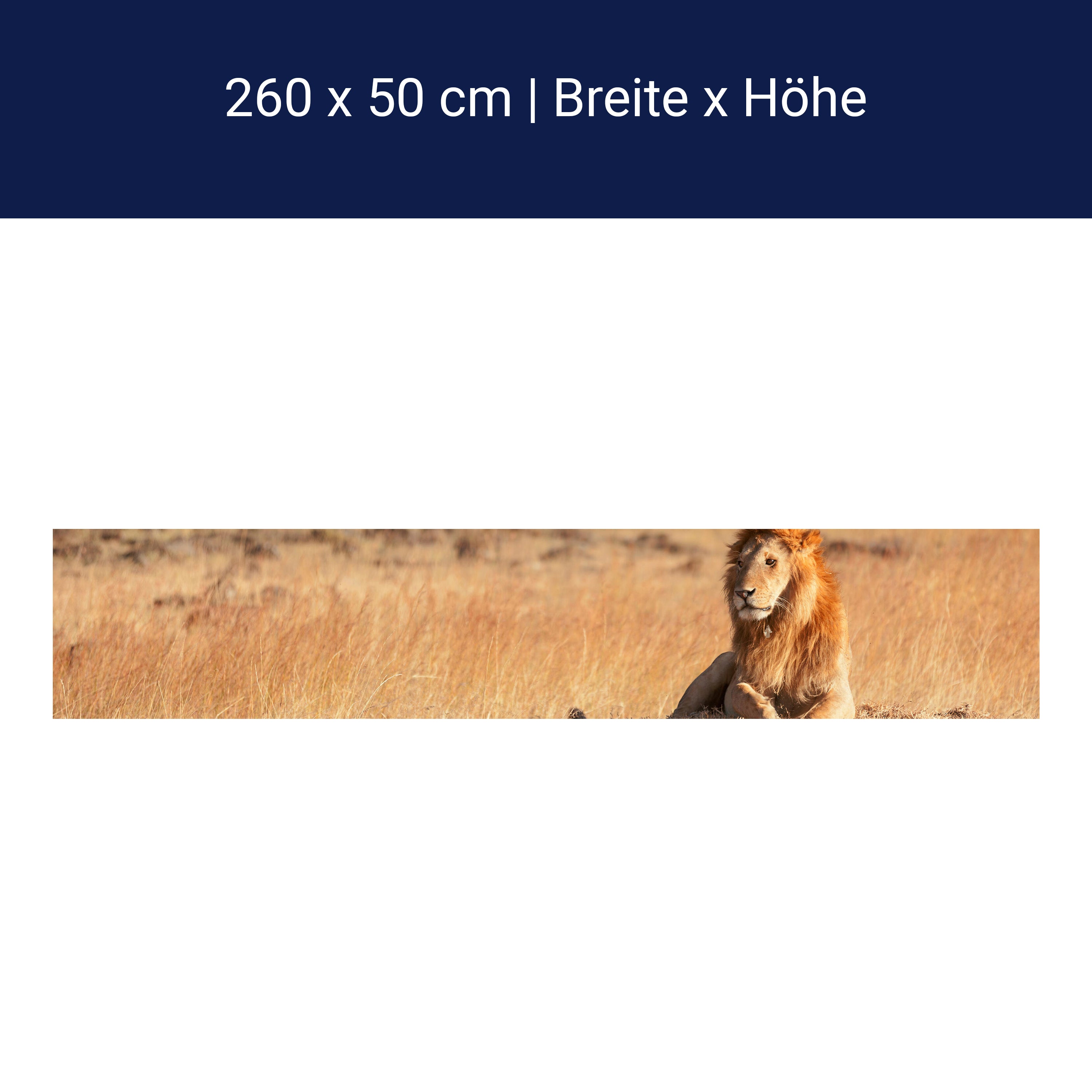 Küchenrückwand König der Savanne M0515 Küchenrückwand König der Savanne M0515