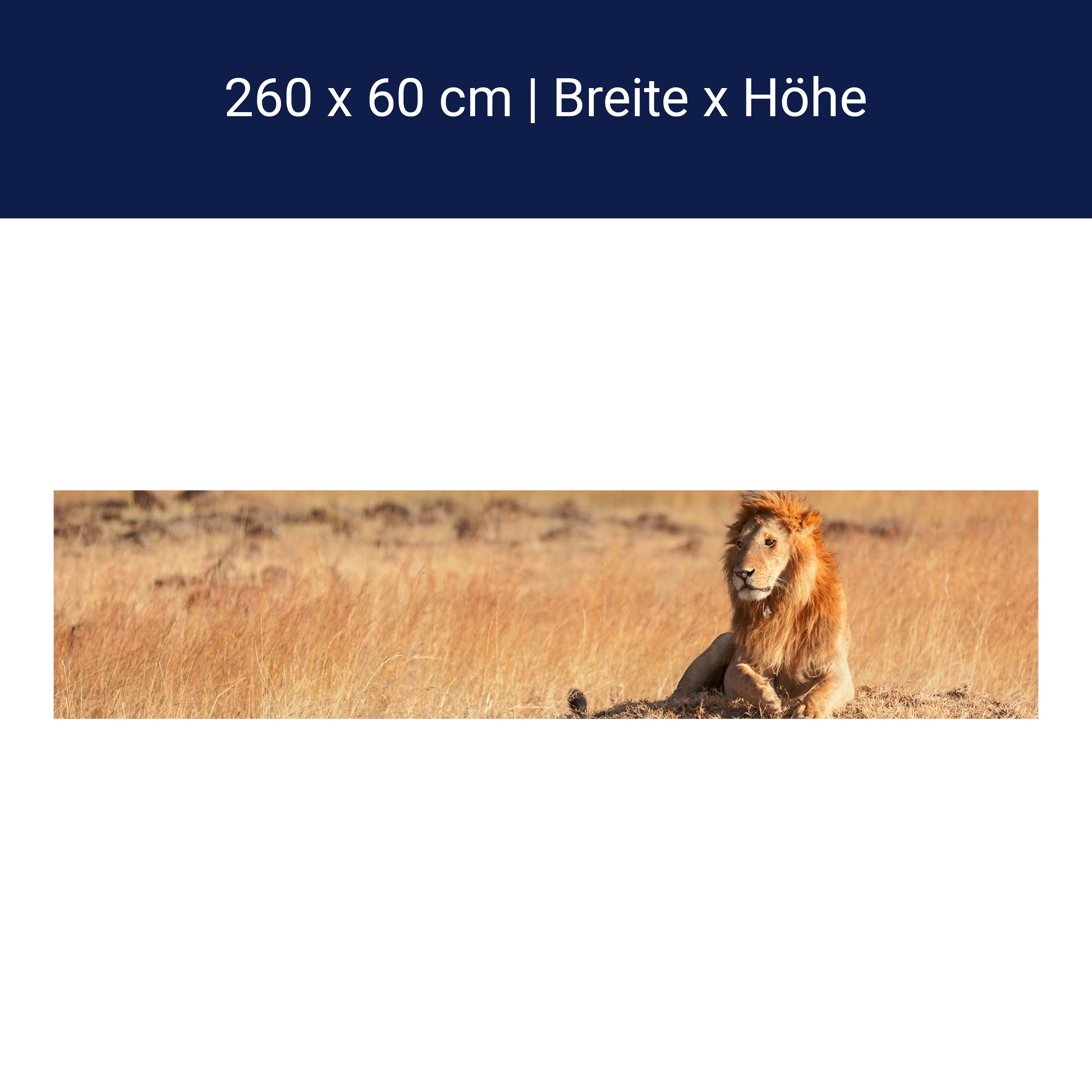 Küchenrückwand König der Savanne M0515 Küchenrückwand König der Savanne M0515