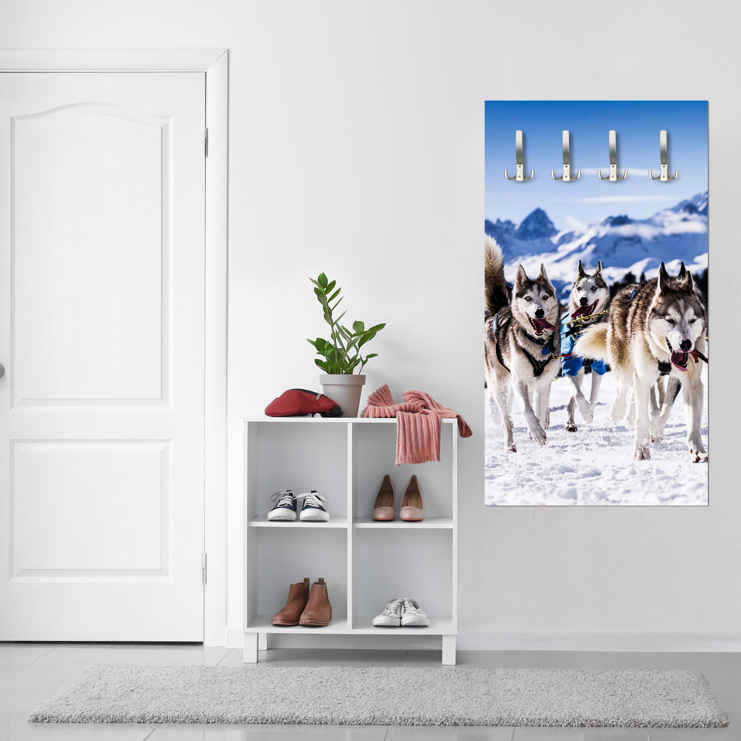 Garderobe Schlittenhunde in Speed Racing M0559 entdecken - Bild 2 Garderobe Schlittenhunde in Speed Racing M0559 entdecken - Bild 2