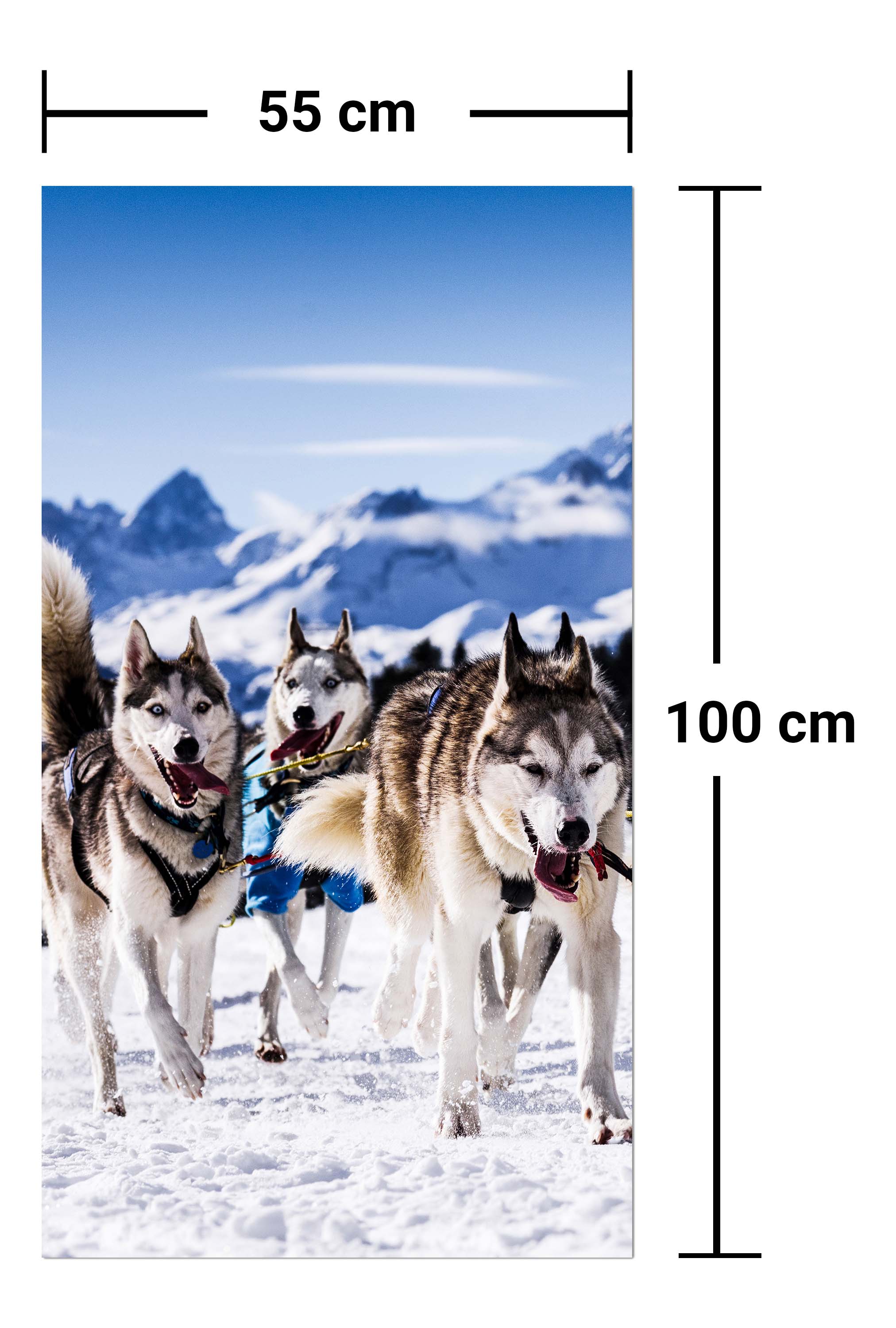 Garderobe Schlittenhunde in Speed Racing M0559 entdecken - Bild 7 Garderobe Schlittenhunde in Speed Racing M0559 entdecken - Bild 7