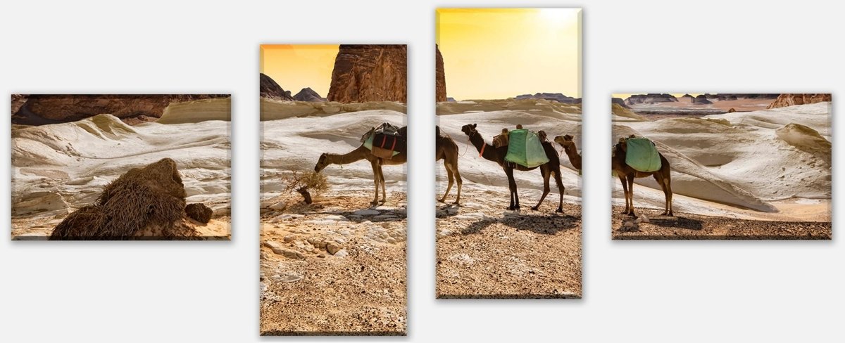 Leinwandbild Mehrteiler Kamele in der Wüste M0562 Leinwandbild Mehrteiler Kamele in der Wüste M0562