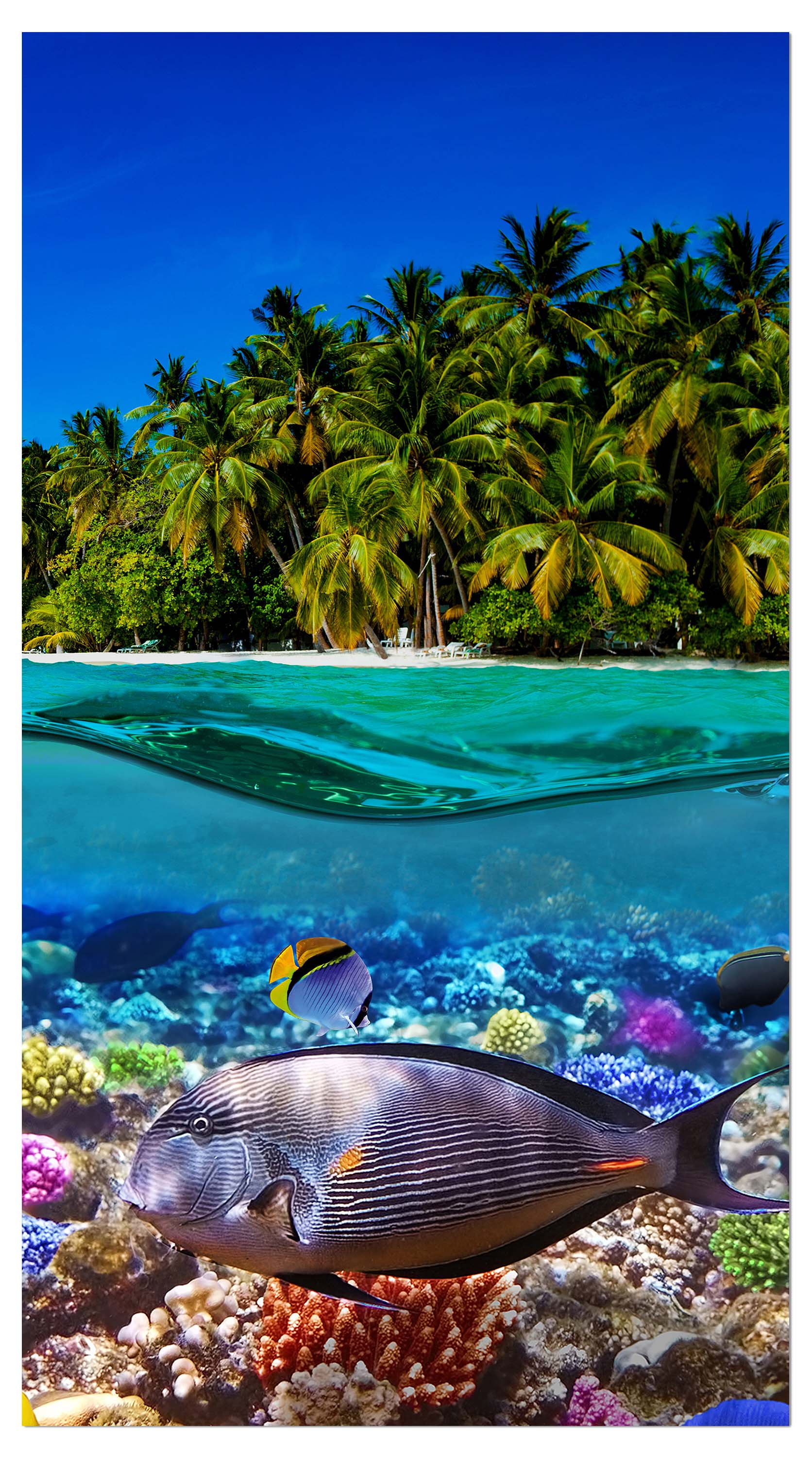 Garderobe Insel in der Karibik M0567 entdecken - Bild 4 Garderobe Insel in der Karibik M0567 entdecken - Bild 4