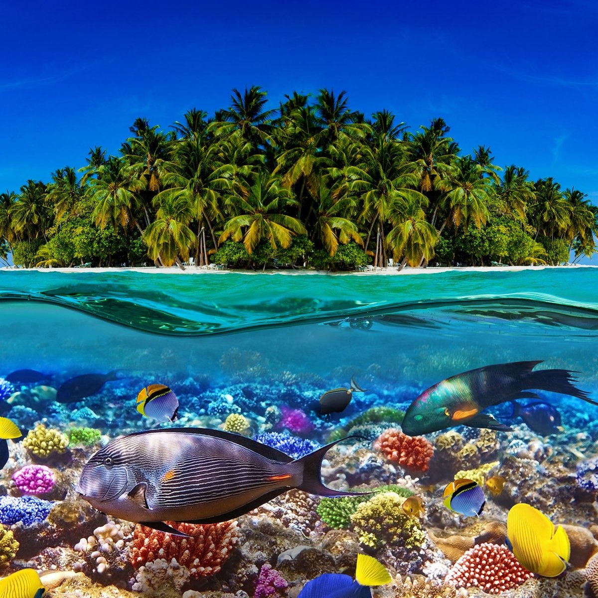 Beistelltisch Insel in der Karibik M0567 entdecken - Bild 2 Beistelltisch Insel in der Karibik M0567 entdecken - Bild 2