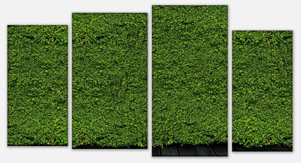 Leinwandbild Mehrteiler Grüne Mauer M0572 Leinwandbild Mehrteiler Grüne Mauer M0572