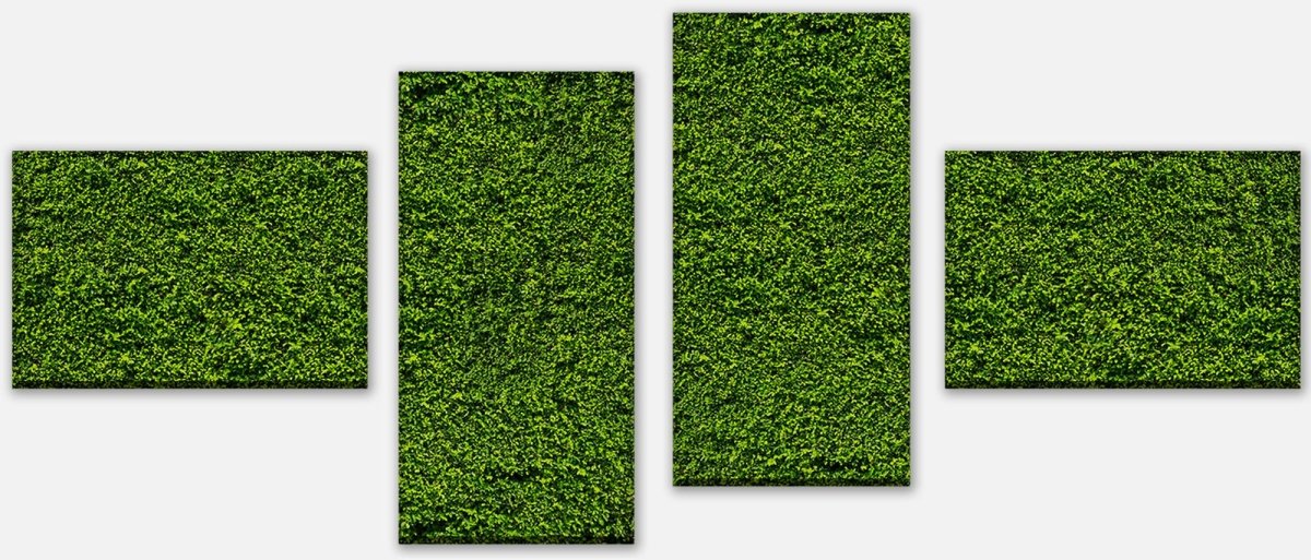 Leinwandbild Mehrteiler Grüne Mauer M0572 Leinwandbild Mehrteiler Grüne Mauer M0572