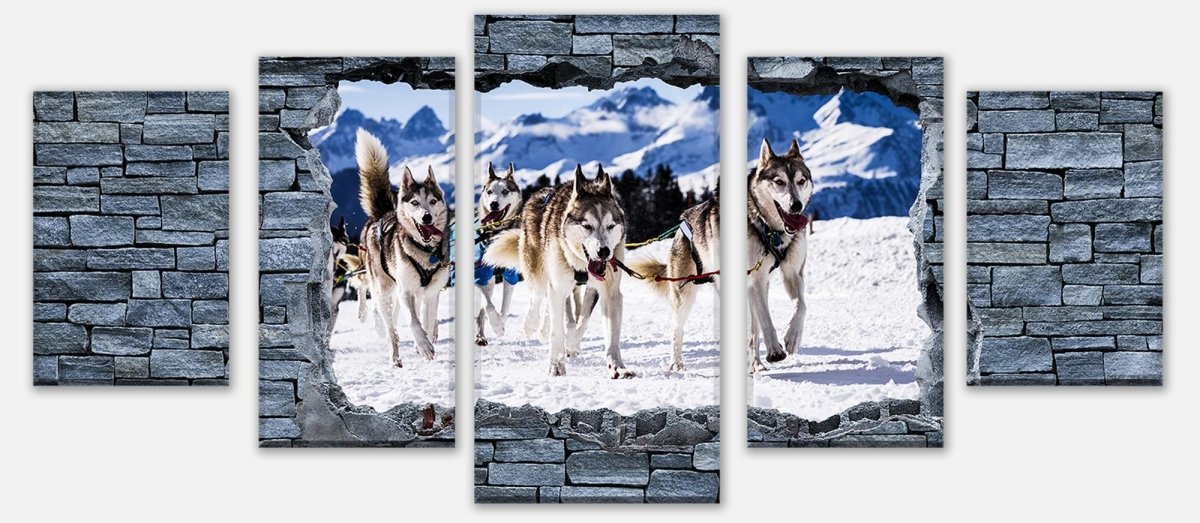 Leinwandbild Mehrteiler 3D Schlittenhunde in Speed Racing M0623 entdecken - Bild 1 Leinwandbild Mehrteiler 3D Schlittenhunde in Speed Racing M0623 entdecken - Bild 1