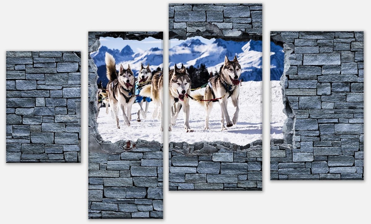 Leinwandbild Mehrteiler 3D Schlittenhunde in Speed Racing M0623 Leinwandbild Mehrteiler 3D Schlittenhunde in Speed Racing M0623