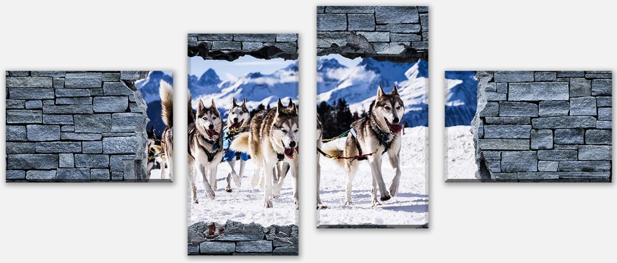 Leinwandbild Mehrteiler 3D Schlittenhunde in Speed Racing M0623 Leinwandbild Mehrteiler 3D Schlittenhunde in Speed Racing M0623