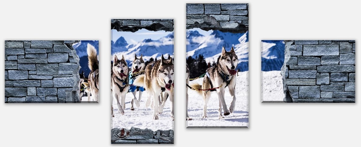 Leinwandbild Mehrteiler 3D Schlittenhunde in Speed Racing M0623 Leinwandbild Mehrteiler 3D Schlittenhunde in Speed Racing M0623