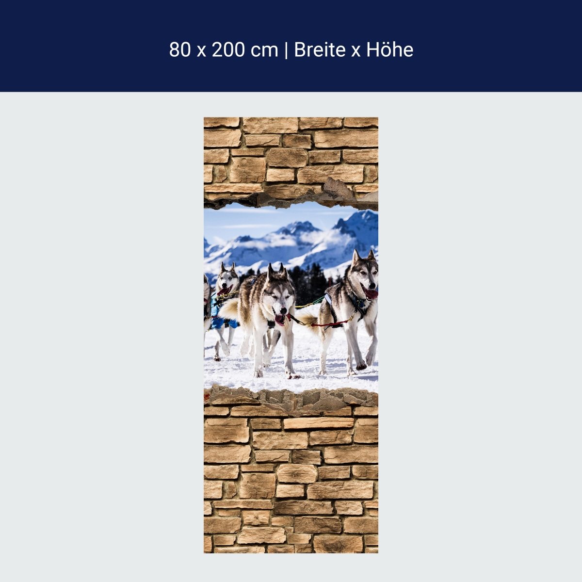 Duschwand 3D Schlittenhunde Racing - Steinmauer M0671 Duschwand 3D Schlittenhunde Racing - Steinmauer M0671