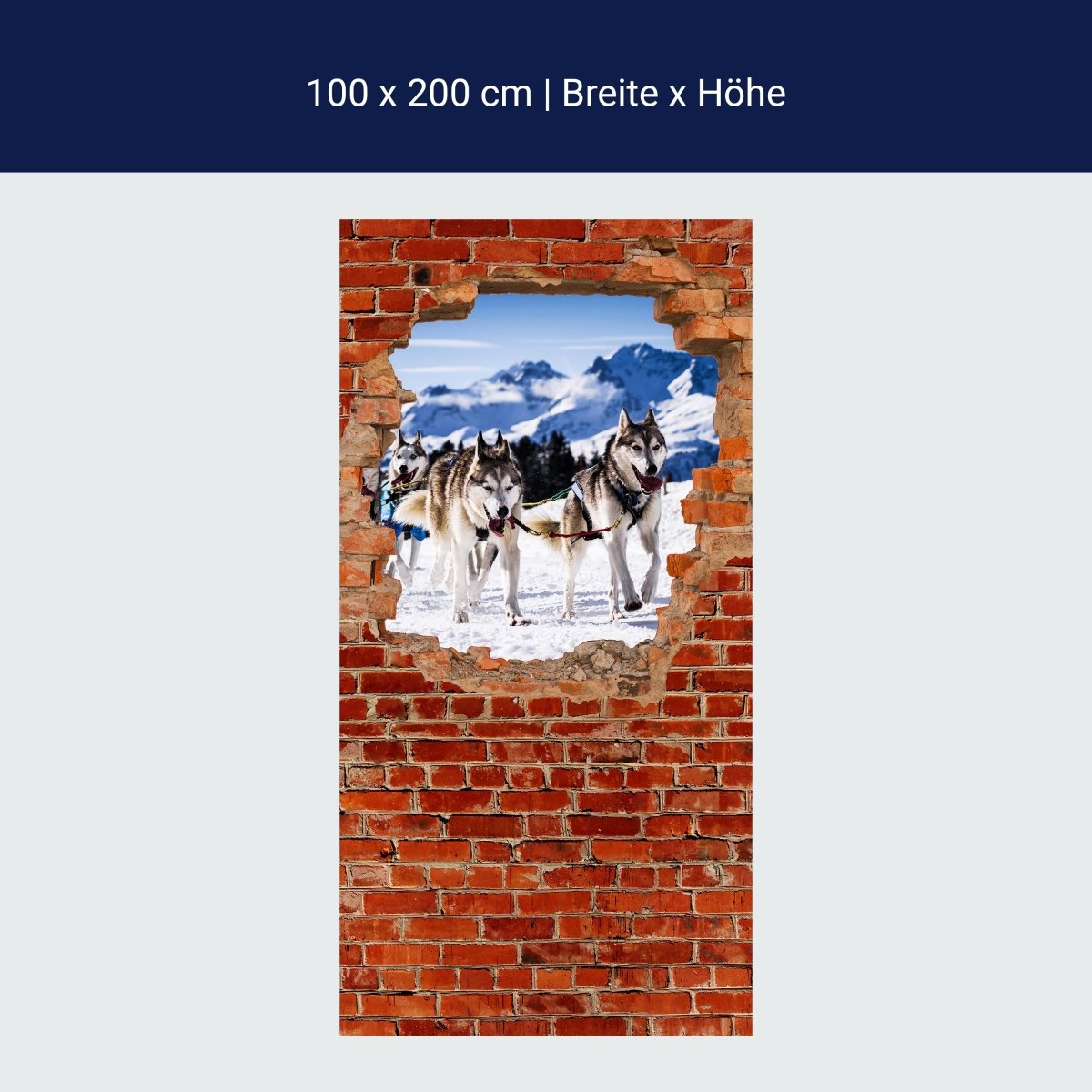 Duschwand Schlittenhunde in Racing - Roter Backstein M0685 Duschwand Schlittenhunde in Racing - Roter Backstein M0685