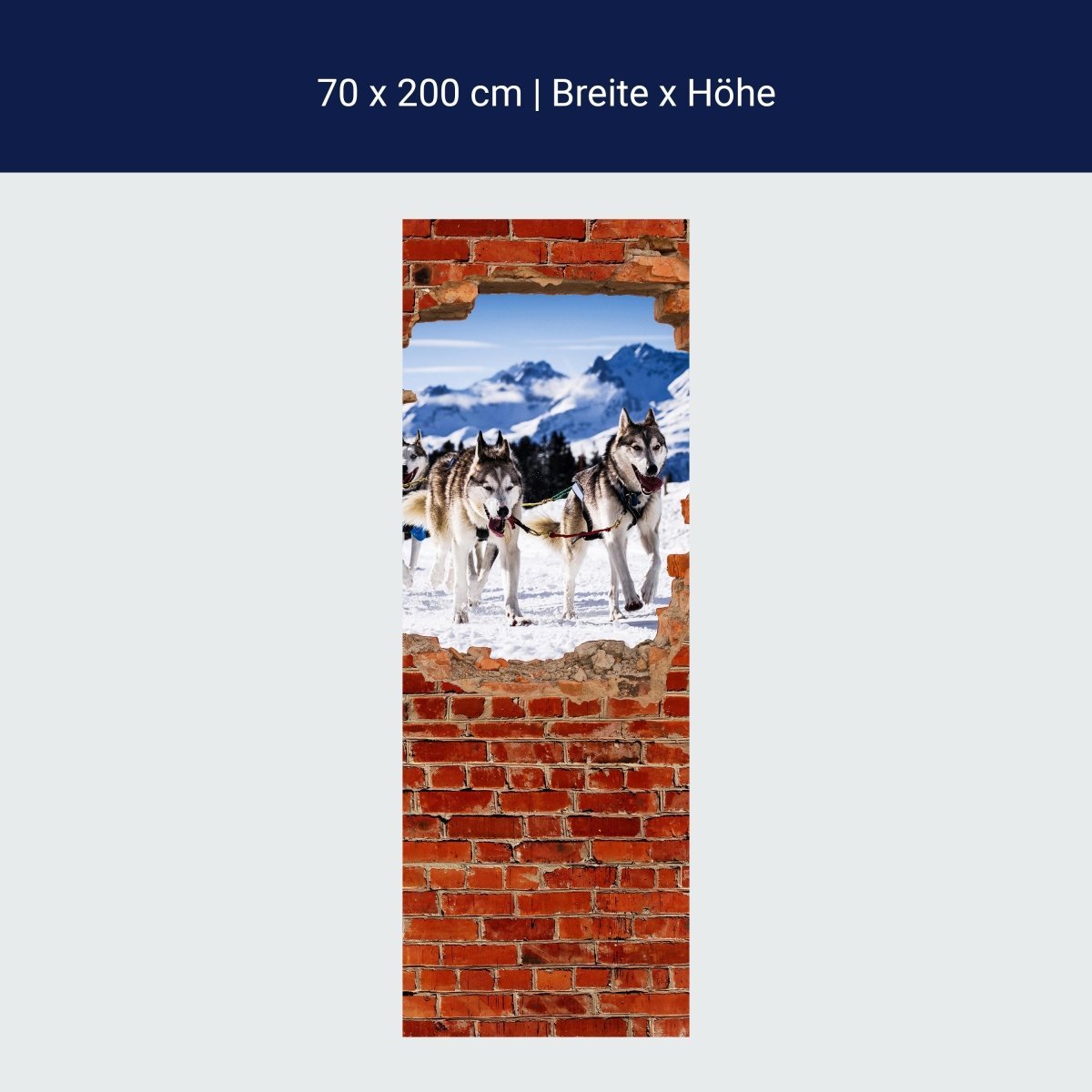 Duschwand Schlittenhunde in Racing - Roter Backstein M0685 Duschwand Schlittenhunde in Racing - Roter Backstein M0685