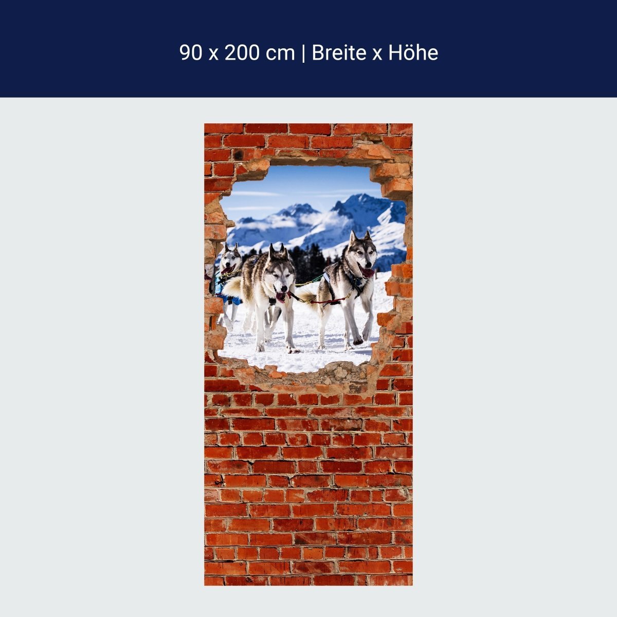 Duschwand Schlittenhunde in Racing - Roter Backstein M0685 Duschwand Schlittenhunde in Racing - Roter Backstein M0685