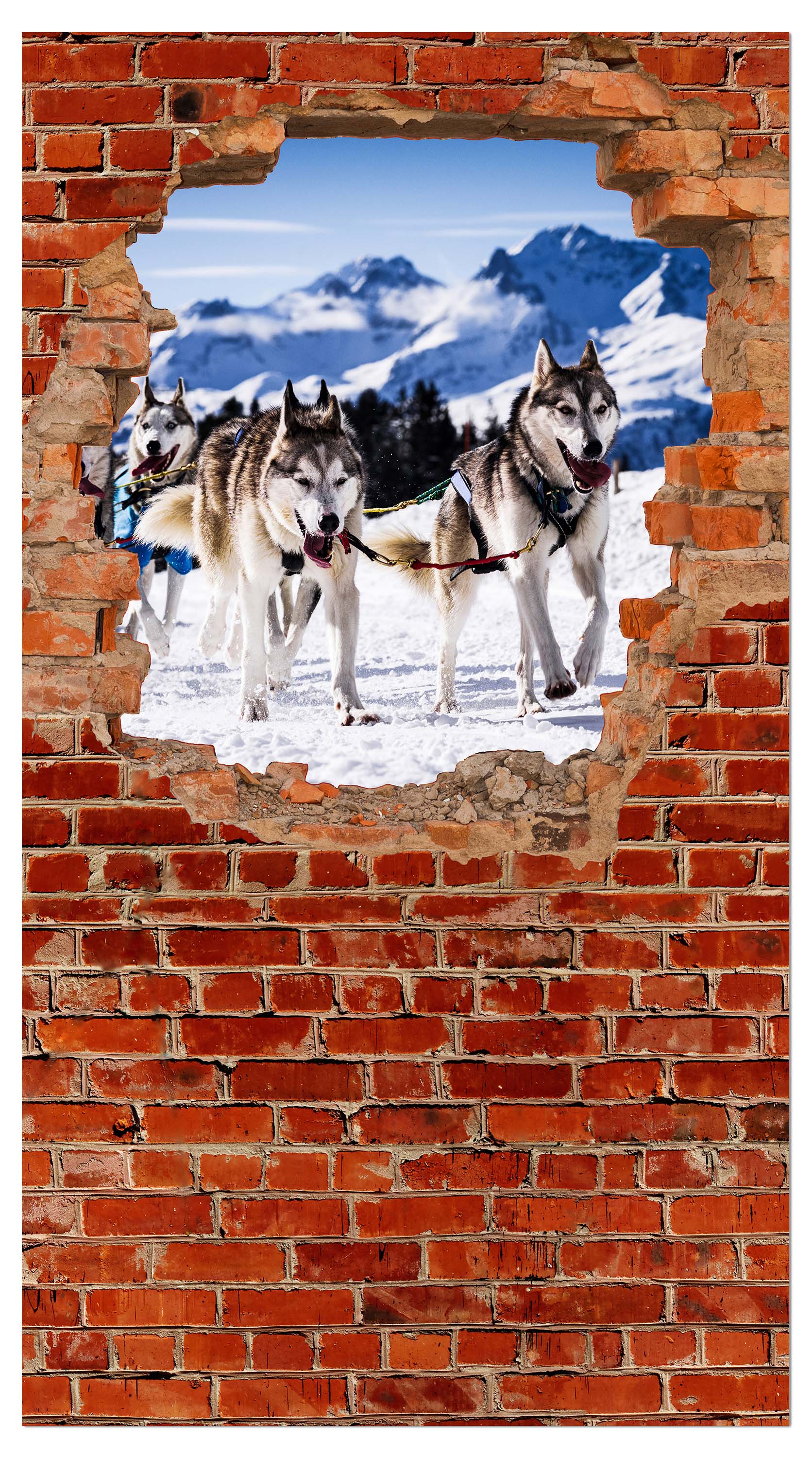 Garderobe Schlittenhunde in Racing - Roter Backstein M0685 entdecken - Bild 4 Garderobe Schlittenhunde in Racing - Roter Backstein M0685 entdecken - Bild 4