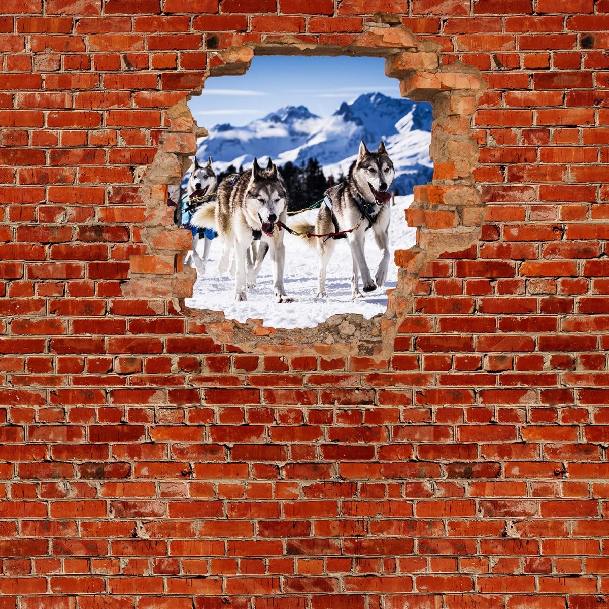 Beistelltisch Schlittenhunde in Racing - Roter Backstein M0685 entdecken - Bild 2 Beistelltisch Schlittenhunde in Racing - Roter Backstein M0685 entdecken - Bild 2