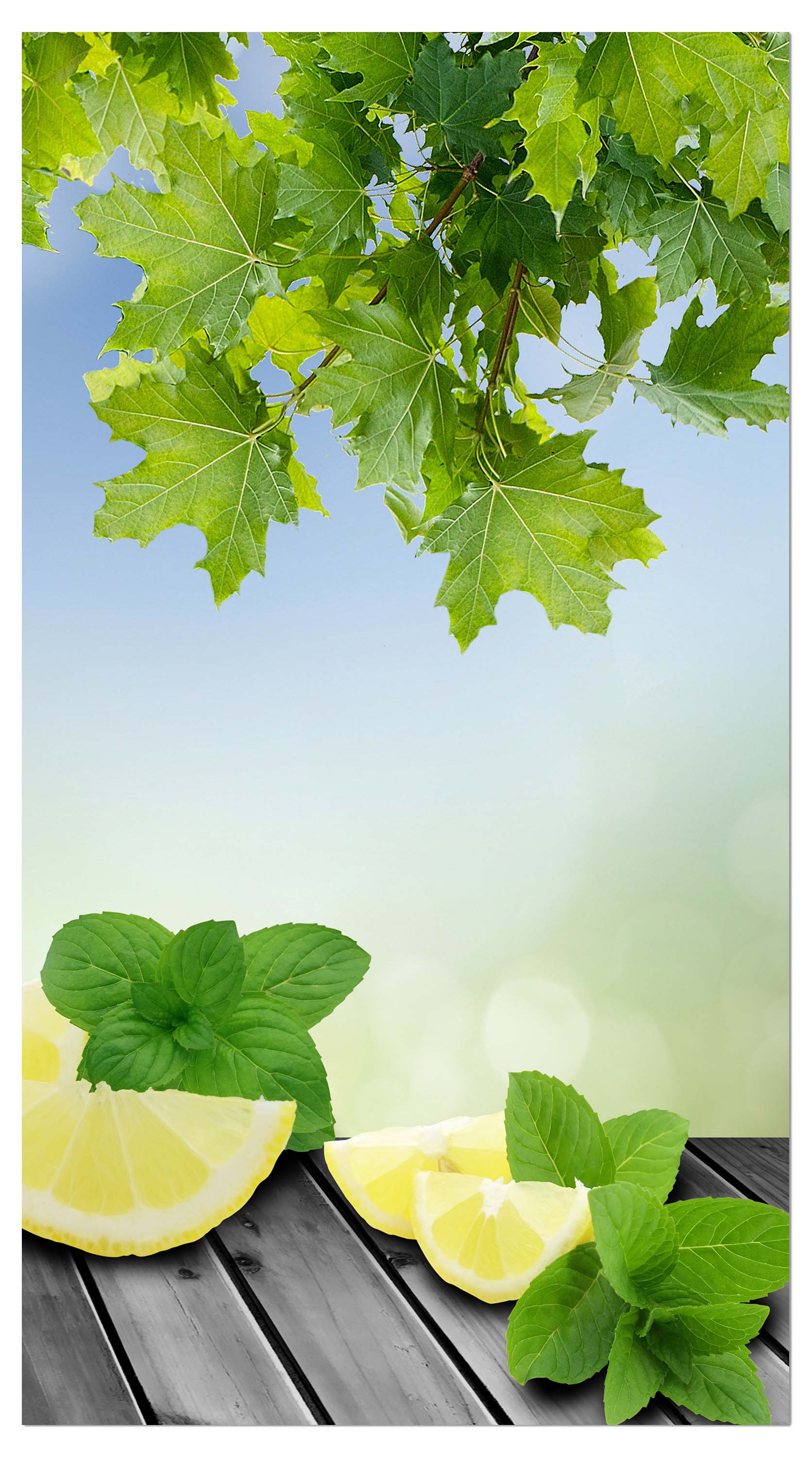 Garderobe Zitronen Grünen Hintergrund M0701 entdecken - Bild 4 Garderobe Zitronen Grünen Hintergrund M0701 entdecken - Bild 4