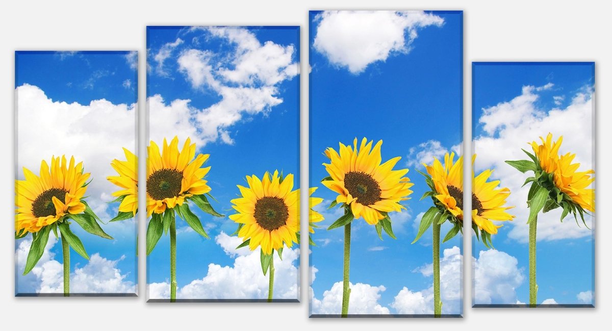 Leinwandbild Mehrteiler Sonnenblumen M0705 Leinwandbild Mehrteiler Sonnenblumen M0705