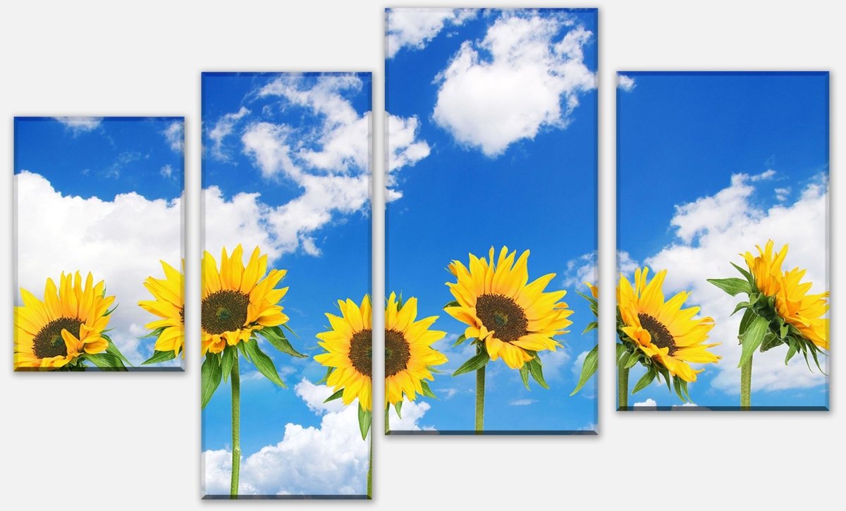 Leinwandbild Mehrteiler Sonnenblumen M0705 Leinwandbild Mehrteiler Sonnenblumen M0705