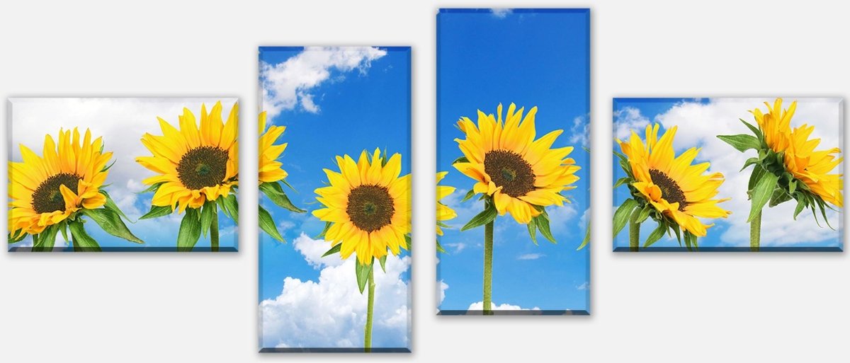 Leinwandbild Mehrteiler Sonnenblumen M0705 Leinwandbild Mehrteiler Sonnenblumen M0705