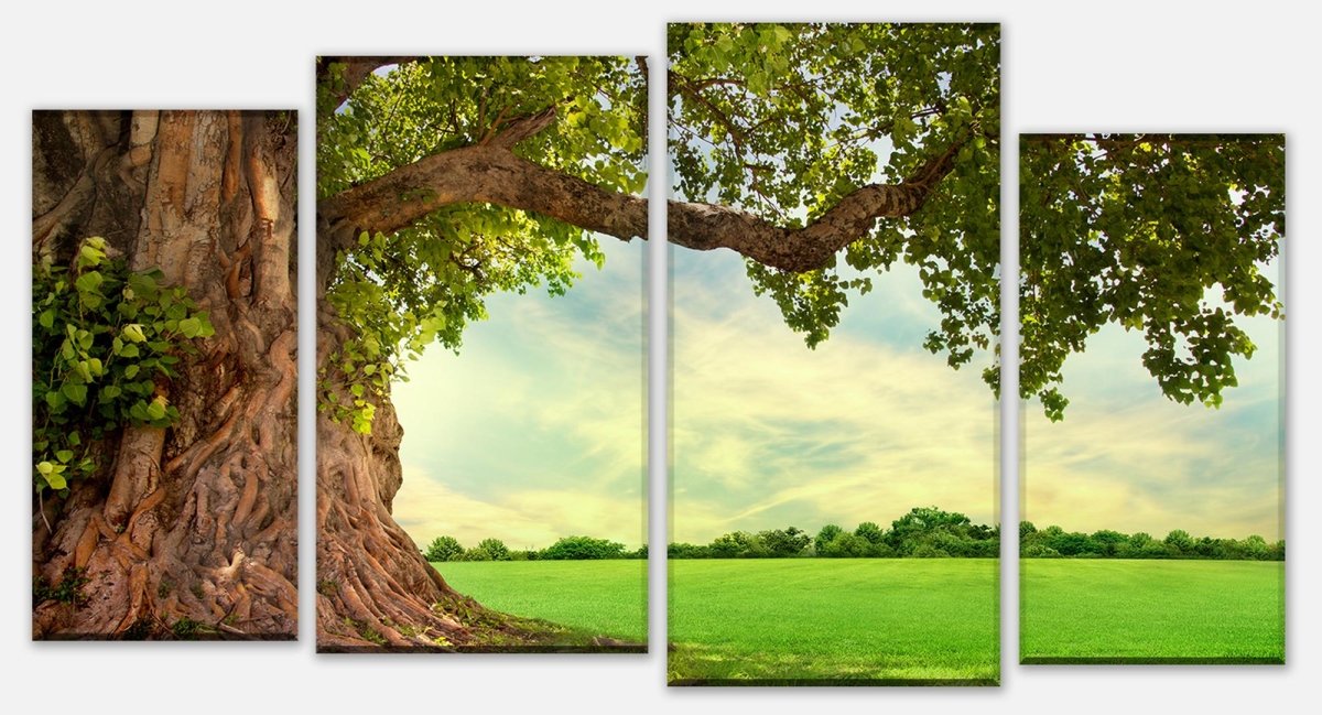 Leinwandbild Mehrteiler Frühling Wiese M0715 Leinwandbild Mehrteiler Frühling Wiese M0715