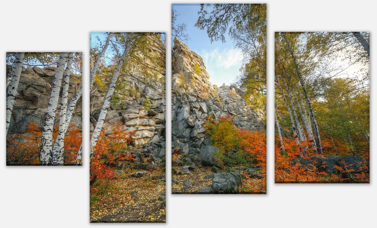 Leinwandbild Mehrteiler Herbst Birkenbaum Wald M0716 Leinwandbild Mehrteiler Herbst Birkenbaum Wald M0716