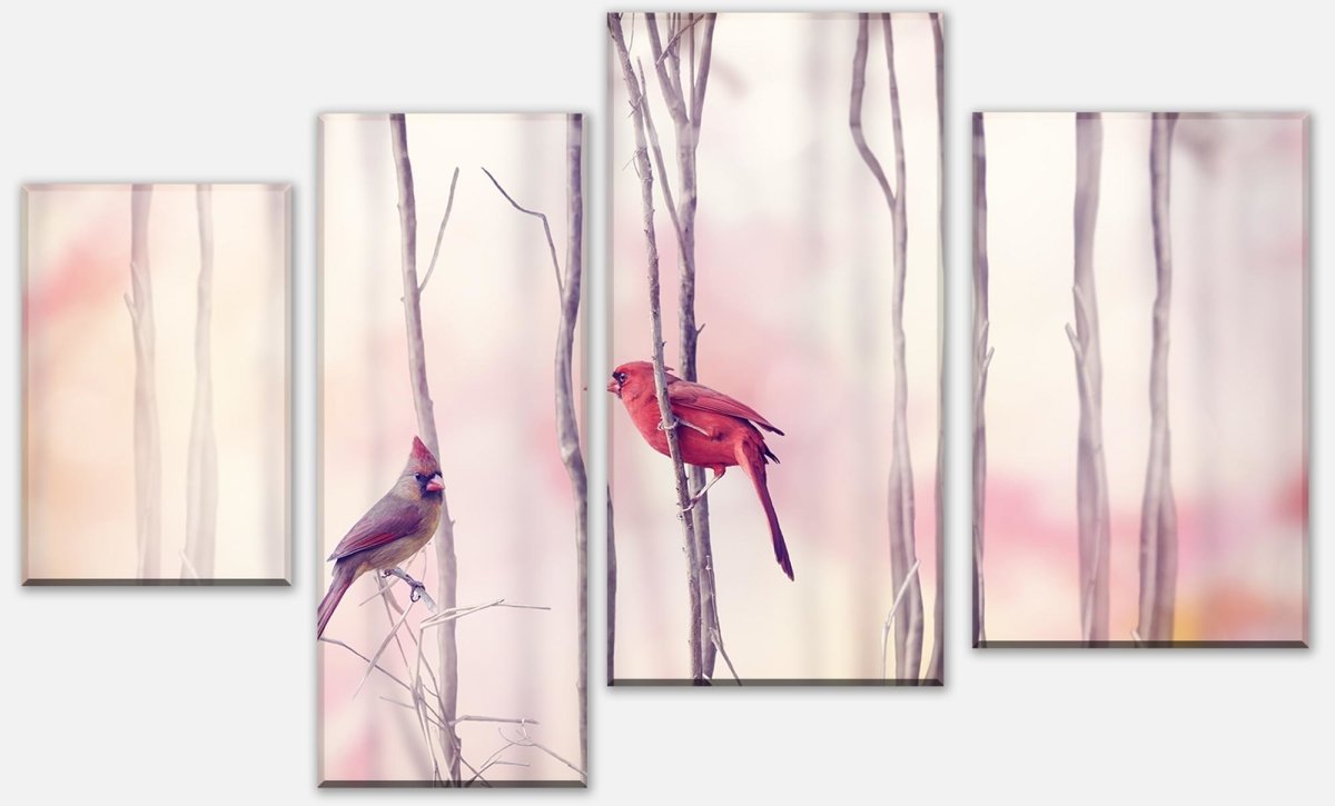 Leinwandbild Mehrteiler Kardinalvögel M0718 Leinwandbild Mehrteiler Kardinalvögel M0718