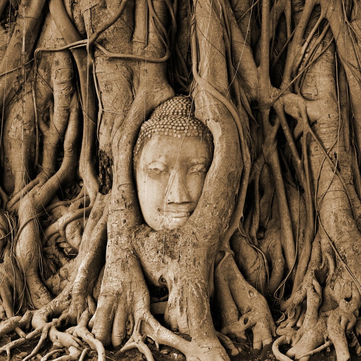 Beistelltisch Tempel der Großen Relikte M0782 entdecken - Bild 2 Beistelltisch Tempel der Großen Relikte M0782 entdecken - Bild 2