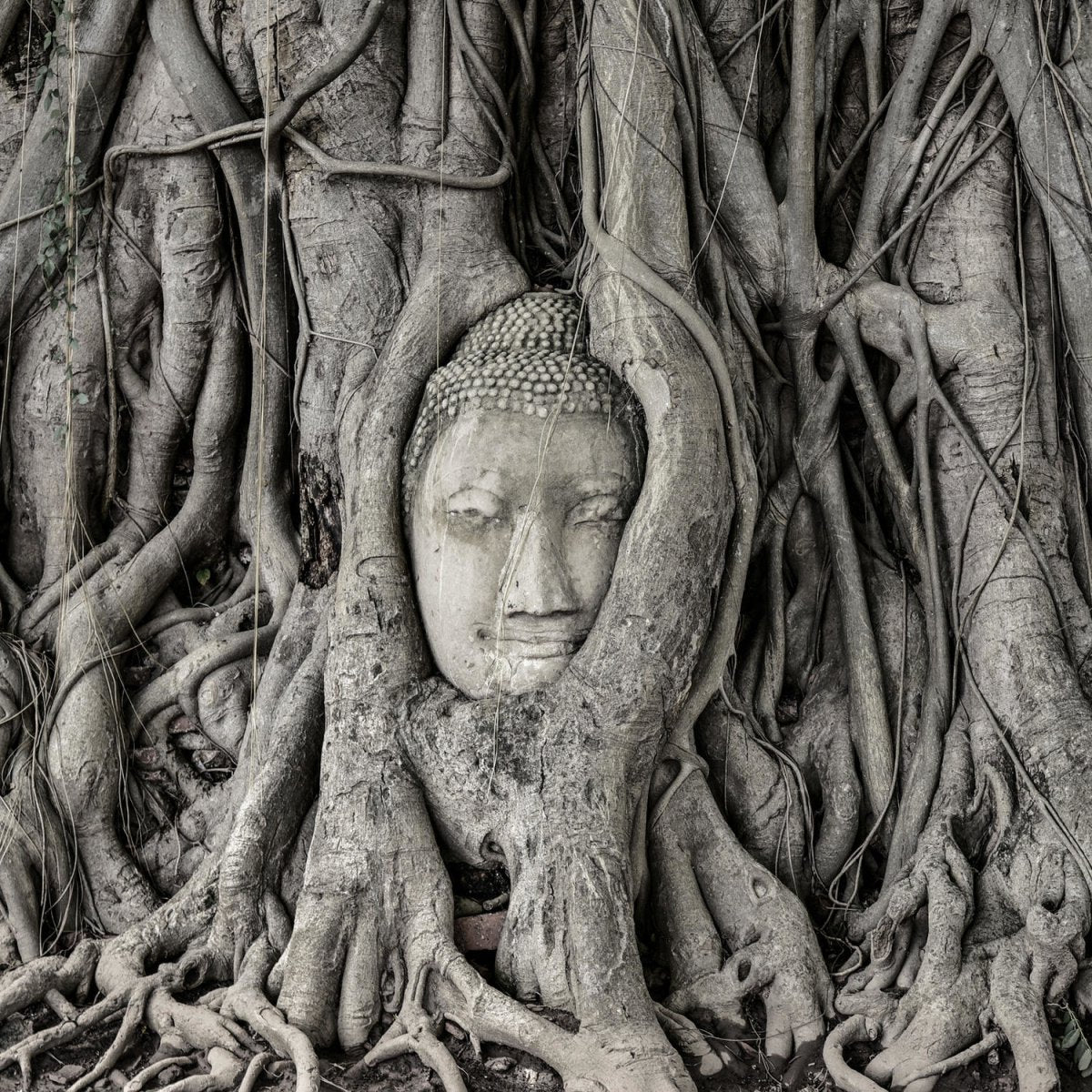 Beistelltisch Tempel der Großen Relikte SW M0783 entdecken - Bild 2 Beistelltisch Tempel der Großen Relikte SW M0783 entdecken - Bild 2