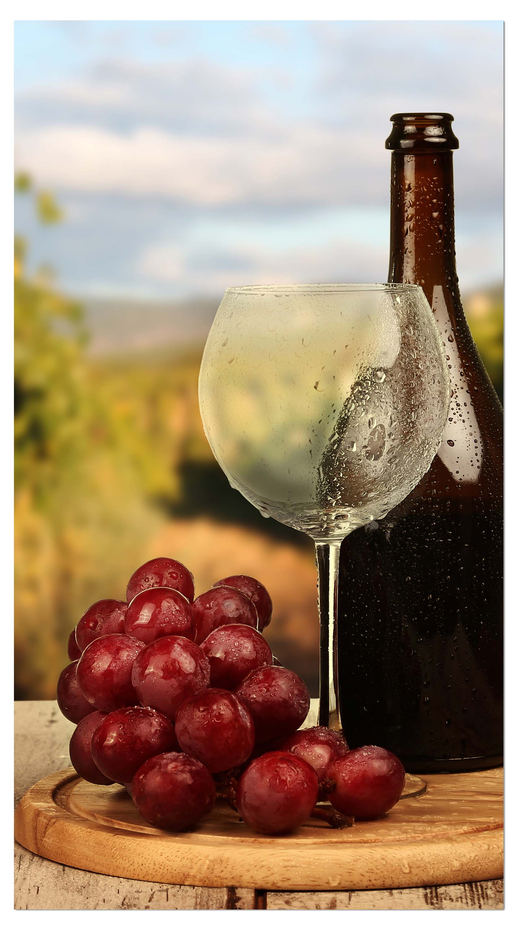 Garderobe Ein Glas Wein M0840 entdecken - Bild 4 Garderobe Ein Glas Wein M0840 entdecken - Bild 4