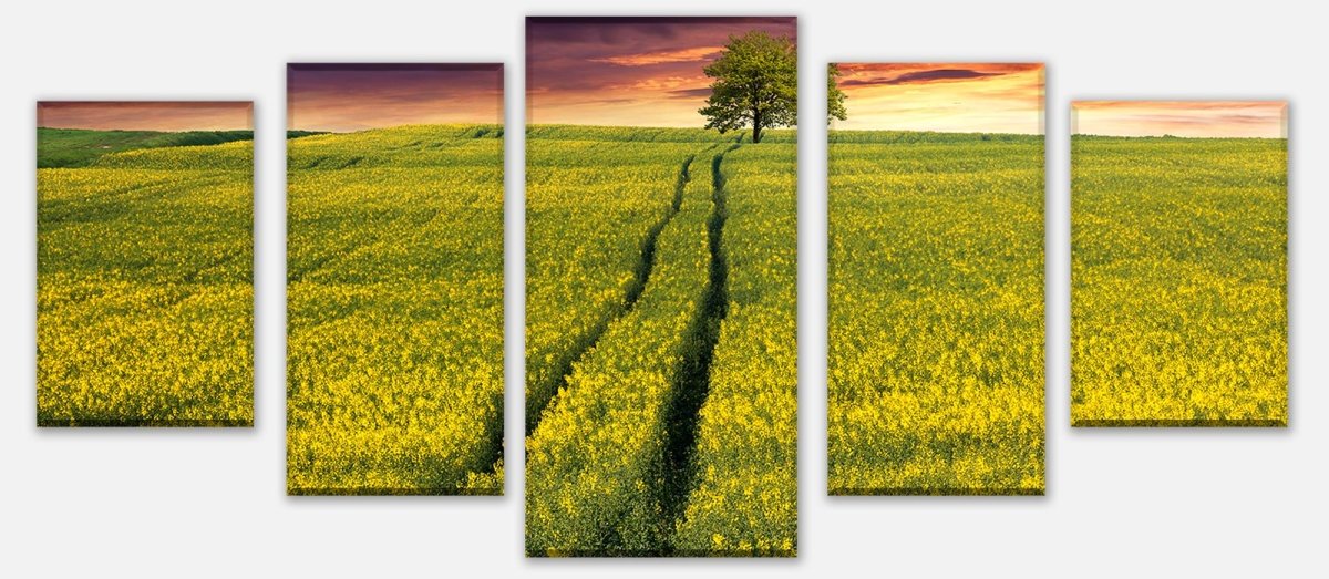 Leinwandbild Mehrteiler Landschaft mit einem Feld von gelben Blumen M0874 entdecken - Bild 1 Leinwandbild Mehrteiler Landschaft mit einem Feld von gelben Blumen M0874 entdecken - Bild 1