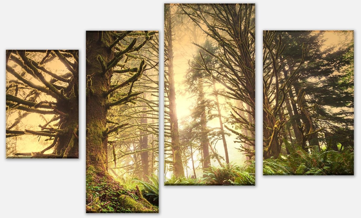 Leinwandbild Mehrteiler Regenwald im Olympischen Nationalpark M0887 Leinwandbild Mehrteiler Regenwald im Olympischen Nationalpark M0887