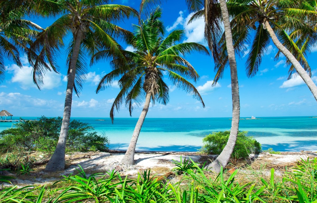 Leinwandbild Mehrteiler Palmen an einem tropischen Strand M0914 Leinwandbild Mehrteiler Palmen an einem tropischen Strand M0914