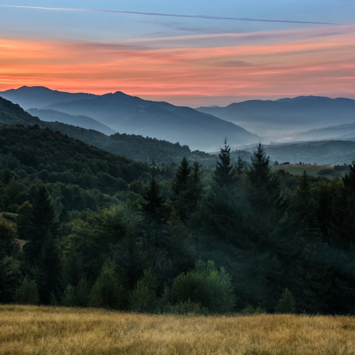 Beistelltisch Nadelwald M0920 entdecken - Bild 2 Beistelltisch Nadelwald M0920 entdecken - Bild 2