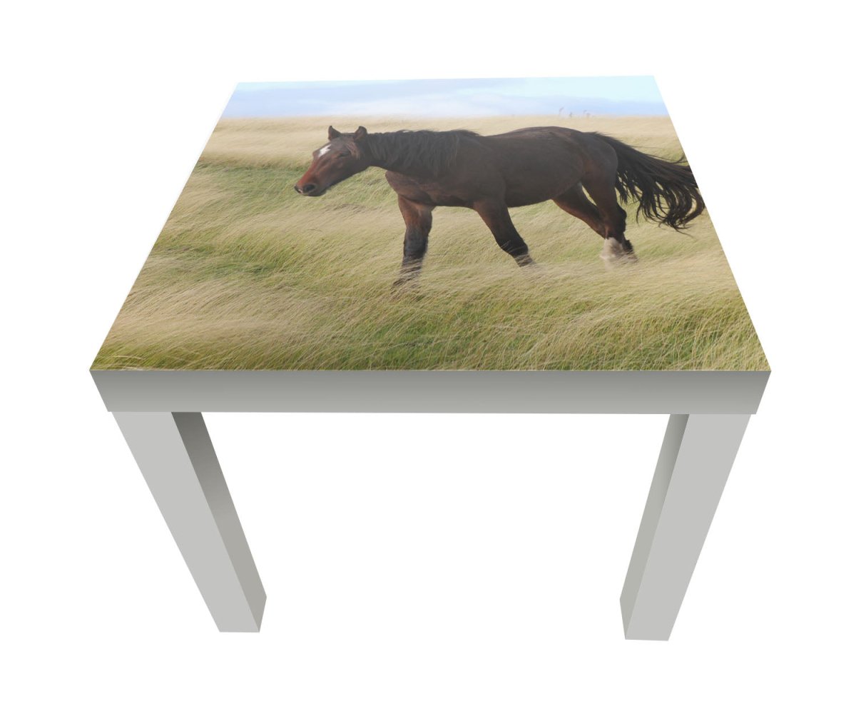 Beistelltisch Wildpferd M0943 entdecken - Bild 1 Beistelltisch Wildpferd M0943 entdecken - Bild 1