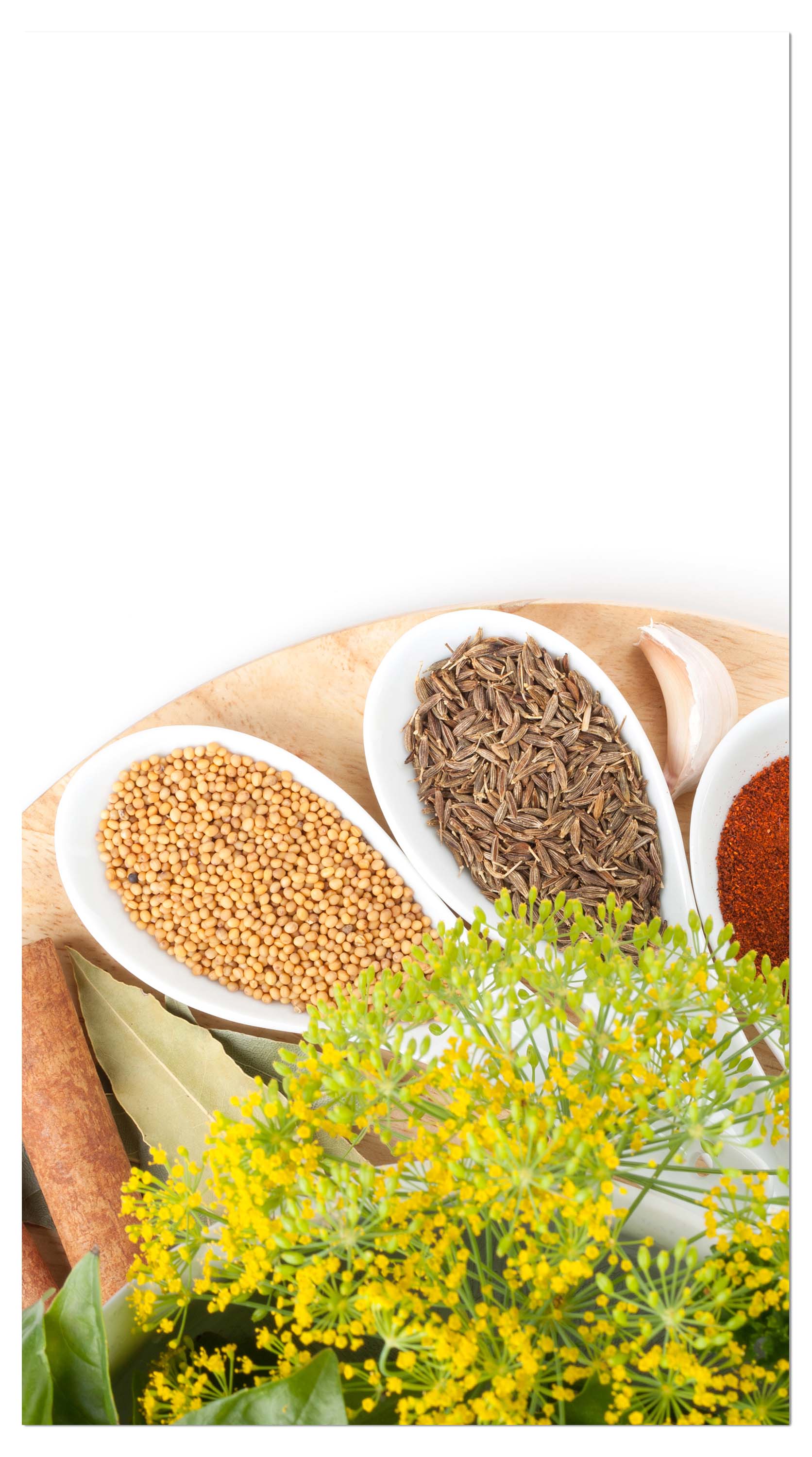 Garderobe Auswähl aus Bunte Kräuter und Gewürze M0981 entdecken - Bild 4 Garderobe Auswähl aus Bunte Kräuter und Gewürze M0981 entdecken - Bild 4