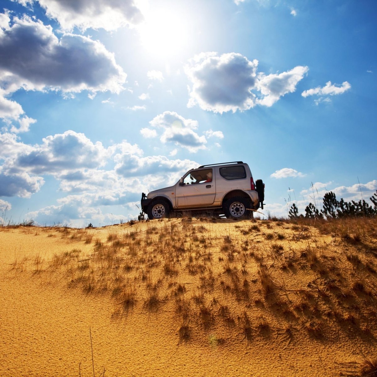 Beistelltisch Jeep Fahrt M1002 entdecken - Bild 2 Beistelltisch Jeep Fahrt M1002 entdecken - Bild 2