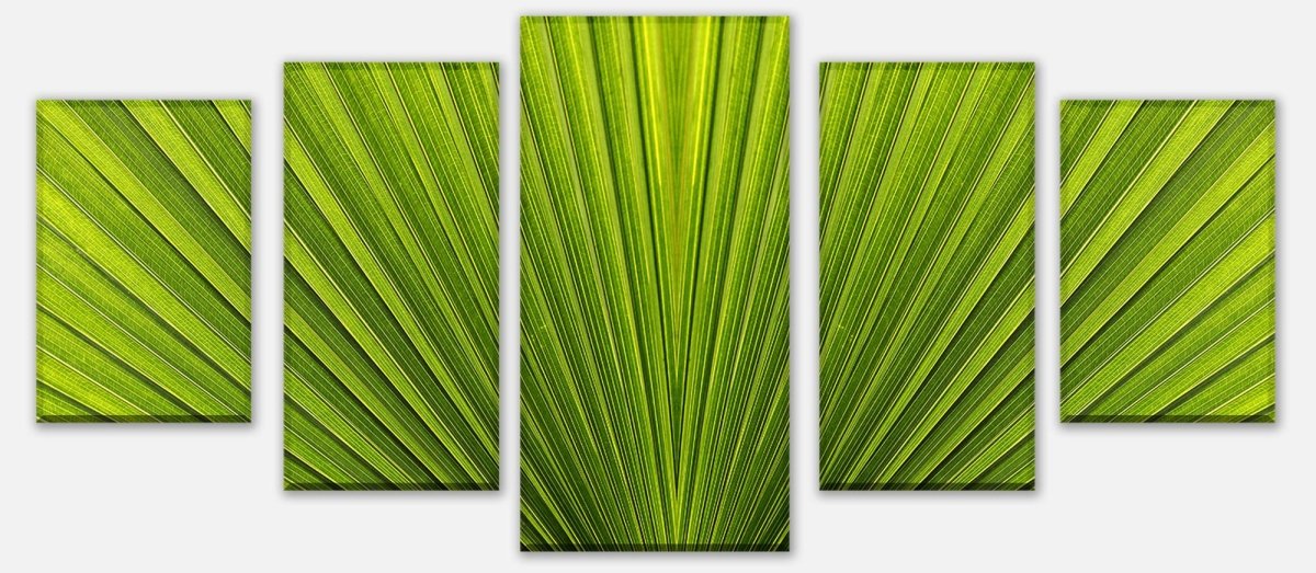 Leinwandbild Mehrteiler Palmblatt Nahaufnahme M1003 entdecken - Bild 1 Leinwandbild Mehrteiler Palmblatt Nahaufnahme M1003 entdecken - Bild 1