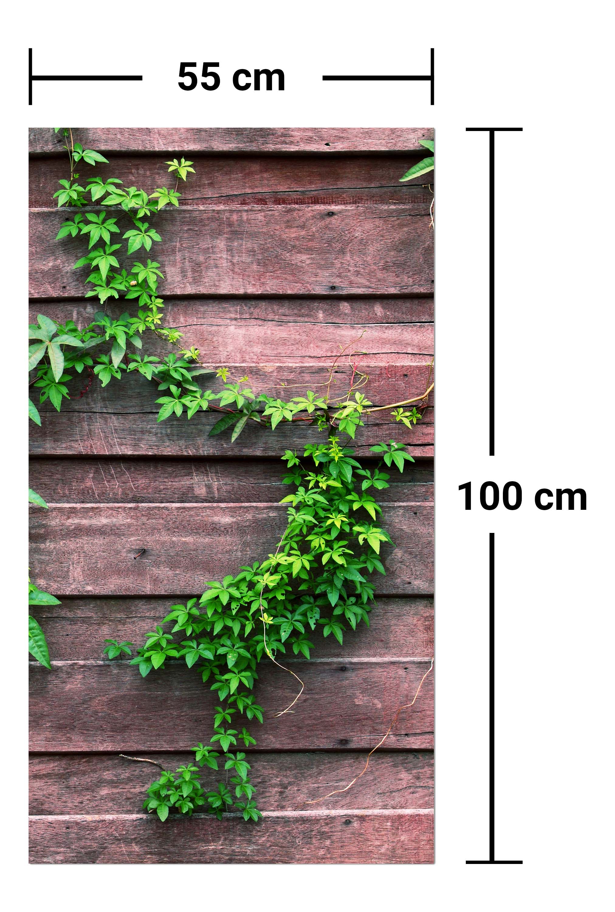 Garderobe Wand mit Kletterpflanze M1004 entdecken - Bild 7 Garderobe Wand mit Kletterpflanze M1004 entdecken - Bild 7