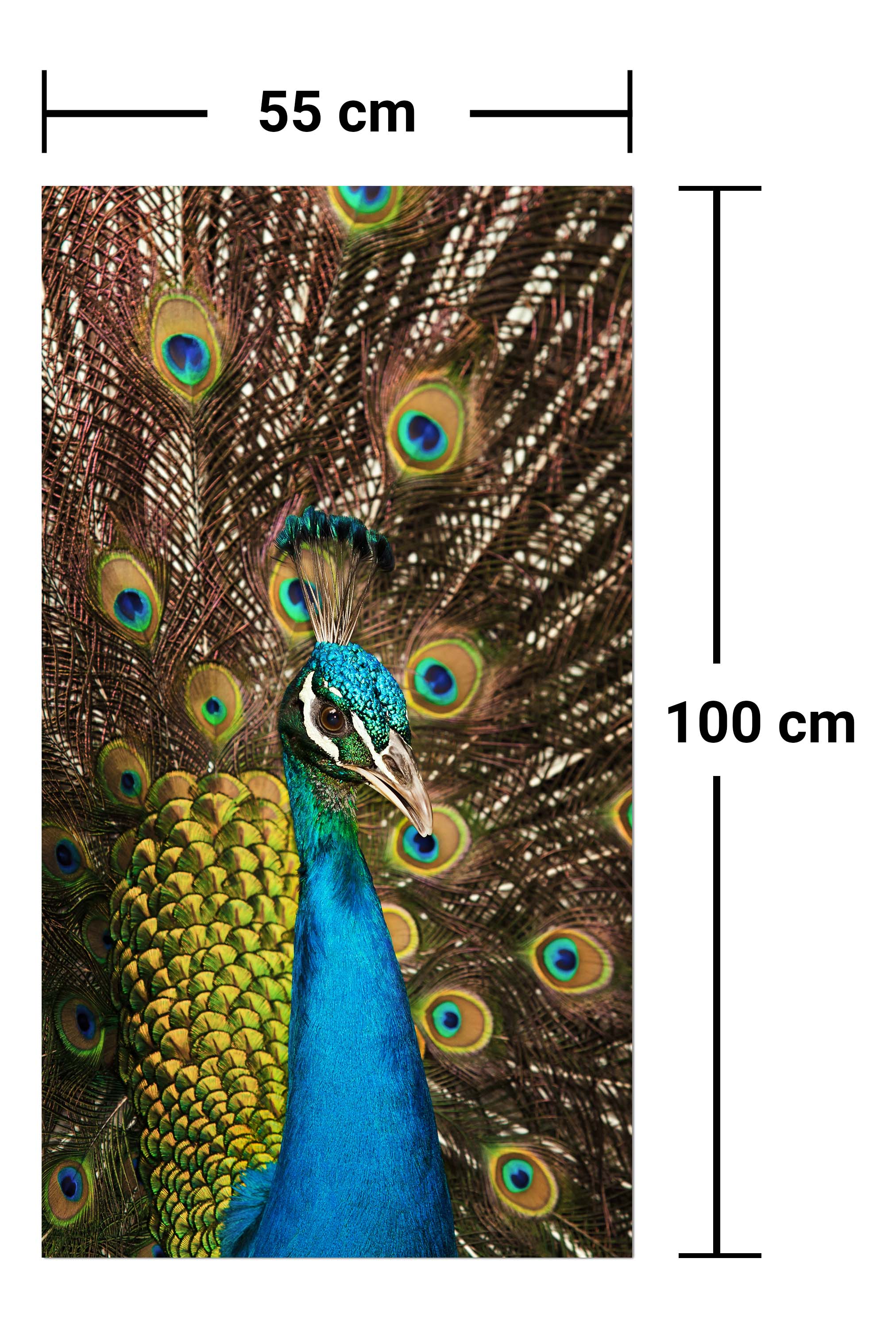 Garderobe schöner Pfau M1005 entdecken - Bild 7 Garderobe schöner Pfau M1005 entdecken - Bild 7