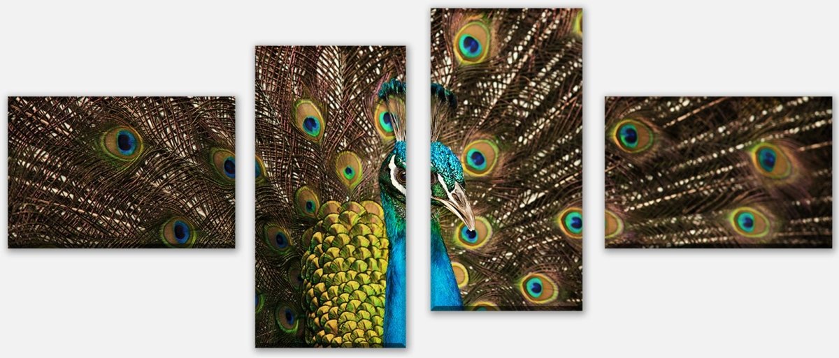 Leinwandbild Mehrteiler schöner Pfau M1005 Leinwandbild Mehrteiler schöner Pfau M1005